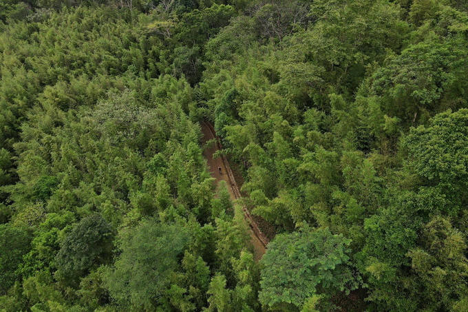 Exploring bamboo forest in Cao Bang - 5