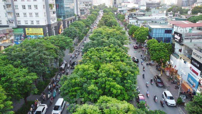 Trees help to ease blazing heat in Hanoi - 6