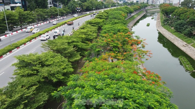 Trees help to ease blazing heat in Hanoi - 3