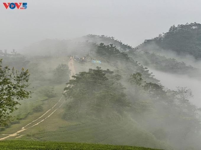 Stunning beauty of northern tea hill - 7